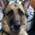 Nancy Dement's profile image