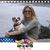 Melissa Botting's profile image