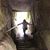 Linda Rohl's profile image