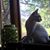 Denise Spraker's profile image