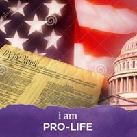 Terry Pearson's profile image