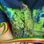 Sophia Kassim Ghorbani's profile image