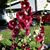 Valerie Twitchell's profile image