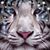 Kitty Hultquist's profile image