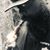 Rico Bascomb's profile image