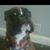 Mark Aylesworth's profile image