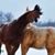 Marcia Spelde's profile image