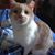Amanda Fields's profile image