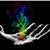 Roy Key's profile image