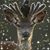 Bethann Baer's profile image