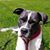 Micki Diericks's profile image
