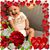 Robin May's profile image