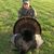 Everett Tweedy's profile image