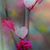 Christina Levis Beckrow's profile image