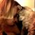 Brittany Meyers's profile image