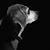 Teena McLean Emerson's profile image