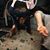 Ray Ray Tarique Shabbaz's profile image