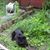 Mary Hickey's profile image