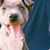 Jubal Traylor's profile image