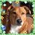 Terri Poland Cobb's profile image