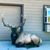 Rachel Renee Gillespie's profile image