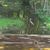 Judy Galt Stiver's profile image