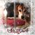 Randi Ritchey-Mueller's profile image