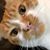 Cynthia Batty's profile image