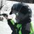 Kristin Fiske Marengo's profile image