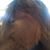 Ronata L. Phillips's profile image
