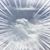 Monica Thomas-Bonnick's profile image