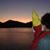 Dylan Silva's profile image