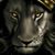 Hemii Wilson's profile image