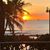 Darlene Morris Chaves's profile image
