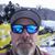 Shane Jacobson's profile image