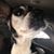 Oralia Torres's profile image