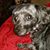 Serena M. Schnarr's profile image