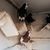 John Beehler's profile image