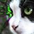 Gabatron Kittledoo's profile image