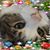 Jo Falzon's profile image