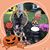 Tina Delorey's profile image