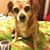 Linda Burchfield Wells's profile image