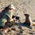 Liz Shaw's profile image