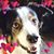 Cathy Machia's profile image