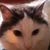 Tracy LaCock's profile image