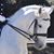 Kathy Dennis's profile image