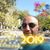 Essam Sobhy's profile image