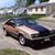 Armando Rodriguez Jr's profile image