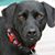 Ryan Sherer's profile image