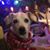 Missy Watson Cherry's profile image